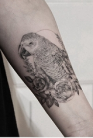 黑灰写实纹身 男生手臂上花朵和鹦鹉纹身图片
