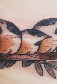 纹身后背女 女生后背上树枝和鸟纹身图片