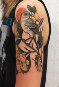 纹身鸟 女生手臂上小鸟纹身图案