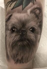 小狗纹身图片 女生小腿上黑色的小狗纹身图片