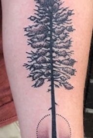 手臂纹身素材 男生手臂上几何和树纹身图片