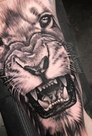 狮子花臂纹身图案 男生手臂上霸气的狮子纹身图片