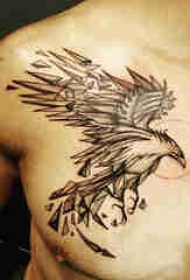 百乐动物纹身 男生胸部黑色的鸟纹身图片