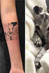 百乐动物纹身 女生手臂上几何动物纹身图片