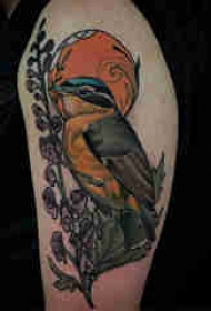 鸟纹身 男生手臂上鸟纹身百乐动物纹身图片
