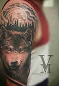 狼纹身 男生手臂上狼头纹身图案