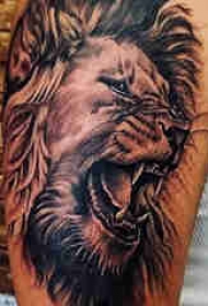 狮子头纹身图片 男生手臂上狮子头纹身图片