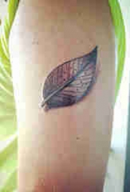 植物纹身 男生大臂上黑色的叶子纹身图片