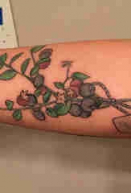 植物纹身 男生手臂上小清新植物纹身图片