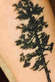 植物纹身 男生手臂上黑色的树纹身图片