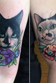 猫咪纹身简单 男生手臂上小猫咪纹身图片