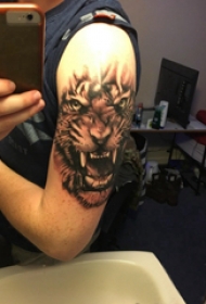 纹身点刺技巧 男生大臂上黑色的老虎纹身图片