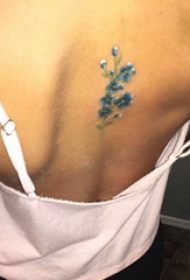 纹身后背女 女生后背上彩色的小清新花朵纹身图片