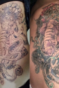 纹身覆盖 女生侧腰上章鱼和大象纹身图片