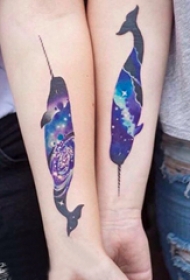纹身鲸鱼 情侣手臂上彩色的独角鲸纹身图片