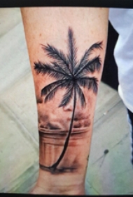 手臂纹身素材 男生手臂上彩色的椰树纹身图片