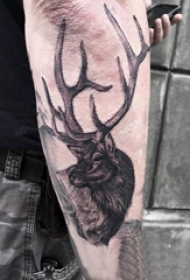 麋鹿角纹身 多款黑灰纹身点刺技巧麋鹿角纹身图案