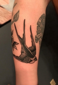 鸟纹身 男生手臂上鸟纹身图片
