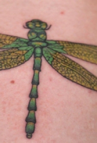 手臂纹身素材 男生手臂上彩色的蜻蜓纹身图片