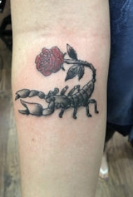 手臂纹身素材 女生手臂上玫瑰和蝎子纹身图片
