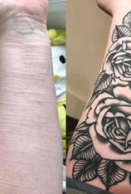 纹身覆盖 女生手臂上黑色的玫瑰花纹身图片