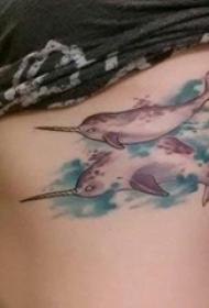 纹身鲸鱼 女生侧腰上彩色的独角鲸纹身图片