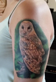 纹身猫头鹰 女生手臂上猫头鹰纹身图片