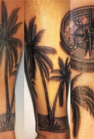 手臂纹身素材 男生手臂上黑色的椰树纹身图片