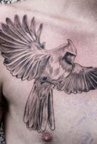 纹身胸部男 男生胸部黑色的鹦鹉纹身图片