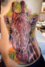 长颈鹿纹身图案 男生侧腰上长颈鹿纹身图案
