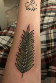 植物纹身 男生手臂上彩色的树叶纹身图片
