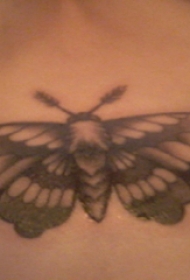 女生胸下纹身 女生胸下黑色的蝴蝶纹身图片