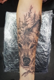 狼纹身 女生手臂上狼头纹身图片