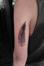 树叶纹身图 男生手臂上树叶纹身图案