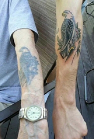 纹身老鹰图案 男生手臂上老鹰纹身图案