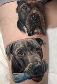 欧美小腿纹身 男生小腿上彩色的小狗纹身图片