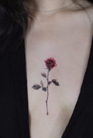 女生胸部纹身 女生胸部彩色的玫瑰纹身图片