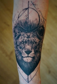 唐狮子纹身 男生手臂上唐狮子纹身图片
