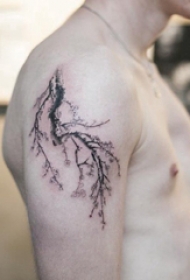 纹身树枝 男生手臂上树枝纹身图片
