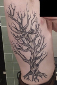 纹身树枝 男生侧腰上黑色的枯树纹身图片