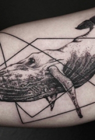 手臂纹身素材 男生手臂上几何和鲸鱼纹身图片