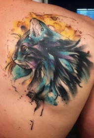 后背纹身男 男生后背上彩色的猫咪纹身图片