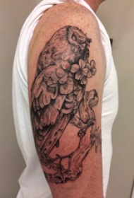 双大臂纹身 男生大臂上花朵和猫头鹰纹身图片