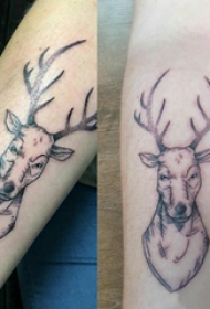 小动物纹身 情侣手臂上黑色的麋鹿纹身图片