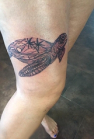 乌龟纹身图案 女生大腿上乌龟纹身图案