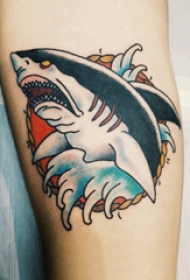 小动物纹身 男生手臂上彩色的鲨鱼纹身图片