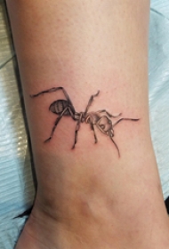 小动物纹身 男生小腿上黑色的蚂蚁纹身图片