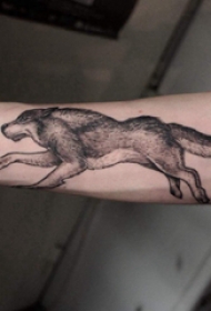 小动物纹身 男生手臂上黑色奔跑的狼纹身图片