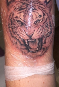 老虎头纹身图案 男生手臂上老虎头纹身图片