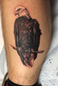 欧美小腿纹身 男生小腿上黑色的老鹰纹身图片